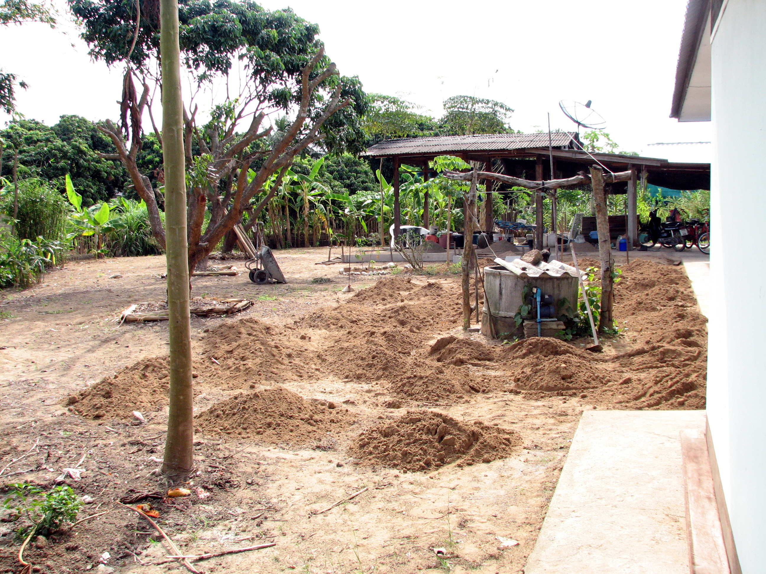 tropical garden preparation