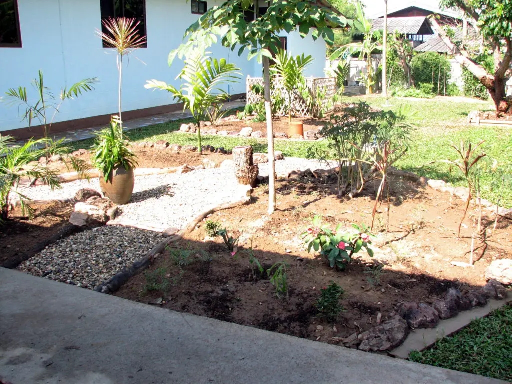 Tropical garden - Rock, stones and old wood create the beds