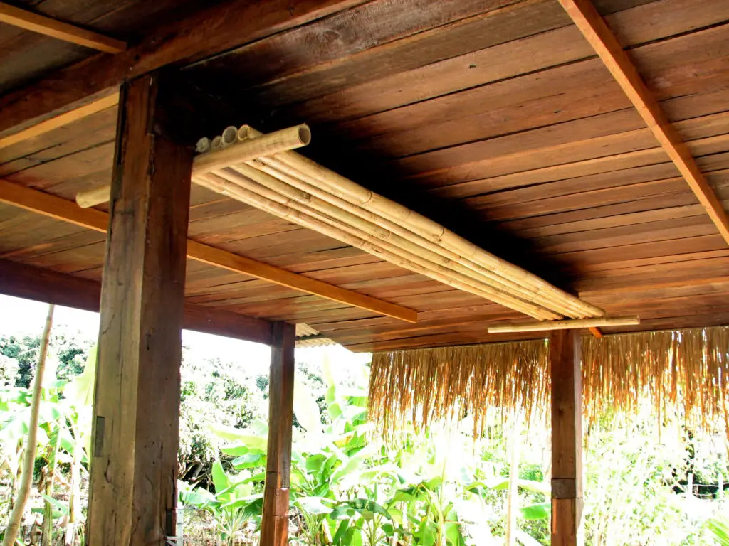 Tropical garden - Walls are now the ceiling