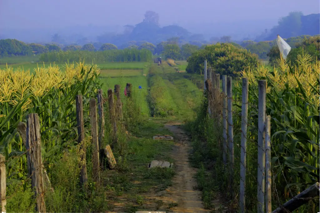 why is the air quality so bad in thailand