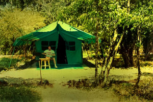 Kichwa Tembo tented camp