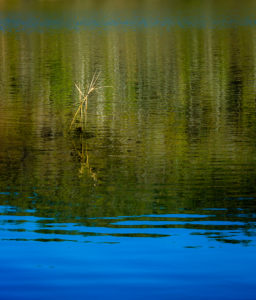 reflections on life - the land and sky surrounding a lake
