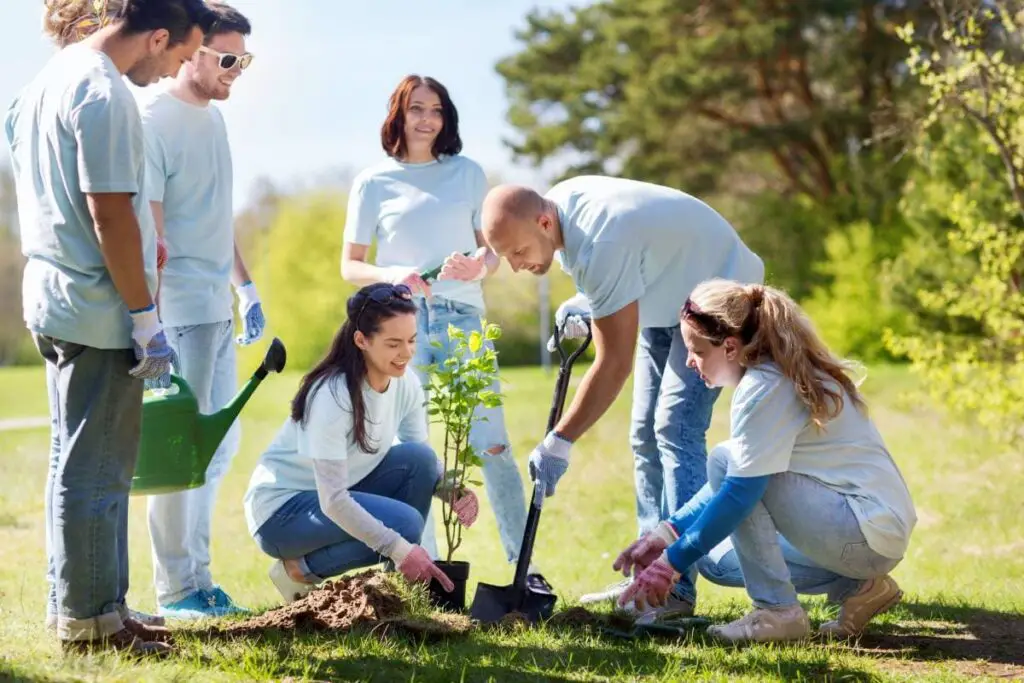 a group of people planting a tree