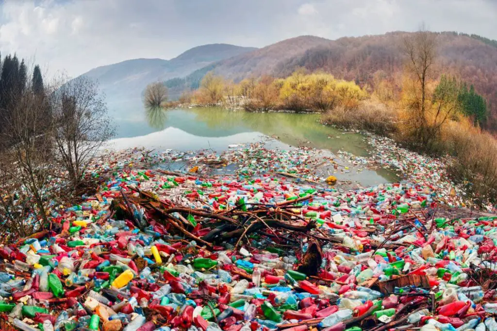 ecological catastrophe in the background of carpathians