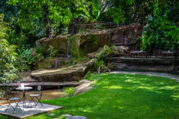 tropical garden plants and waterfall