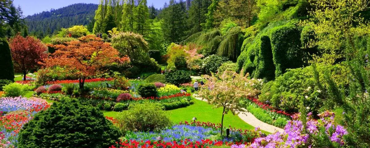 large colourful manicured garden of plants and flowers helping the environment