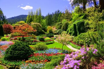 large colourful manicured garden of plants and flowers helping the environment