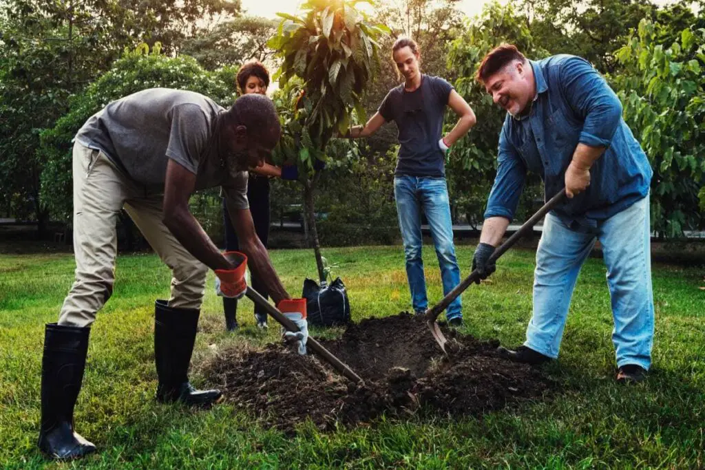Group of diverse people digging hole planting tree together