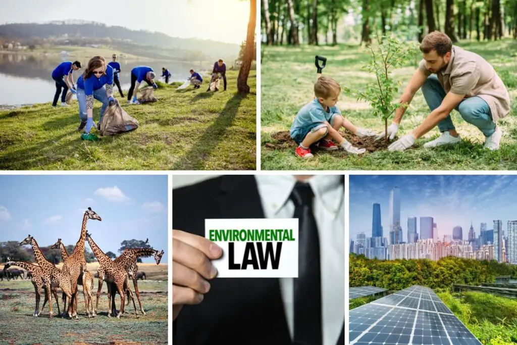 collage of people working to have a positive human impact on the environment 