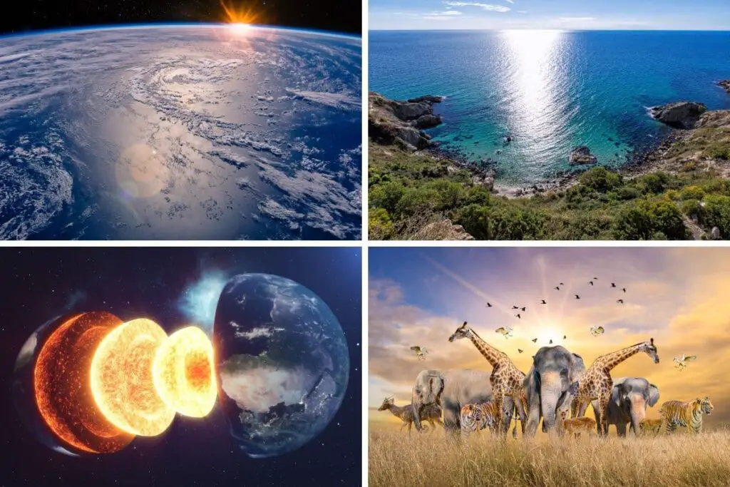 cloured images depicting the 4 types of environment in a collage