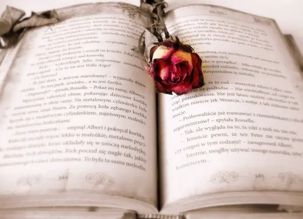 Picture of an old open book with a decaying rose on it