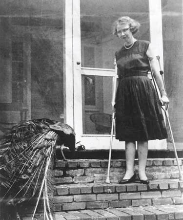 Photo of Flannery O'Connor and peacock 2" by 50 Watts