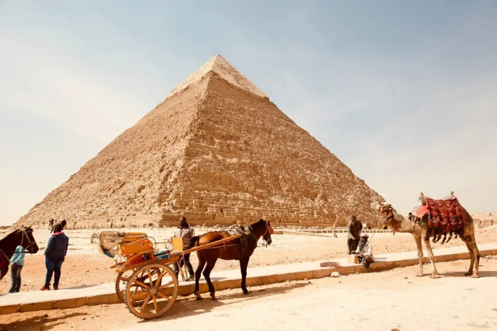 Fynn Schmidt/Unsplash. Horse and cart in Egypt.