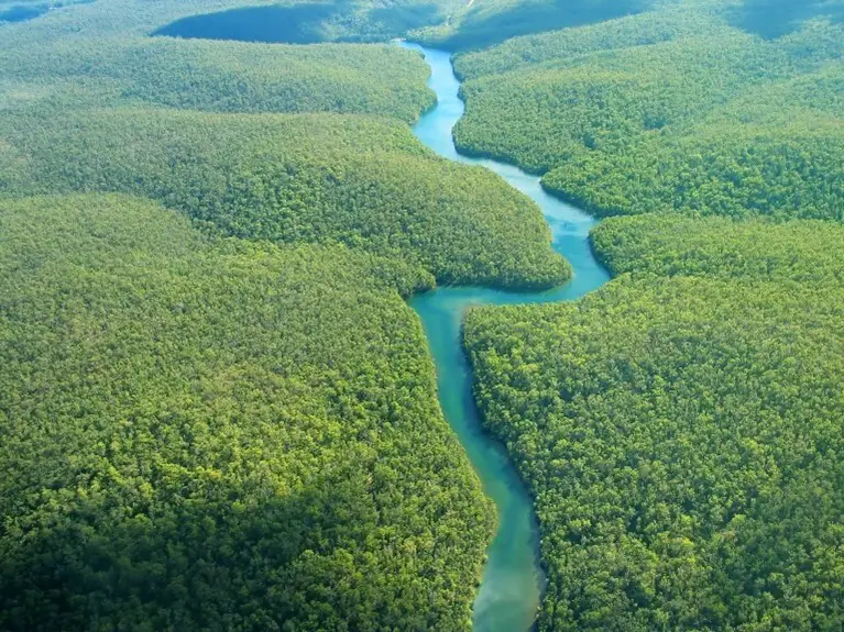 Aerial photo of a river winding through a huge rain forest
