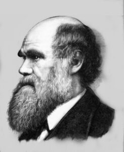 Portrait etching of Charles Darwin