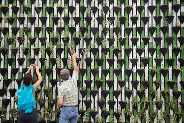 2 people tending plants in a huge wall