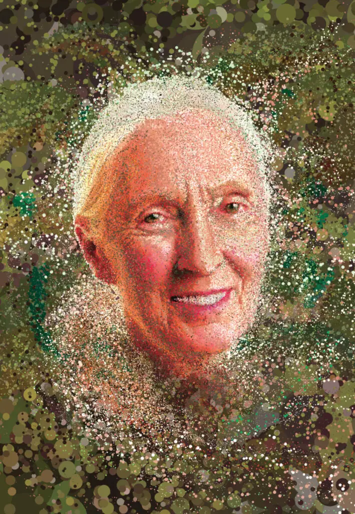 Portrait of Jane Goodall