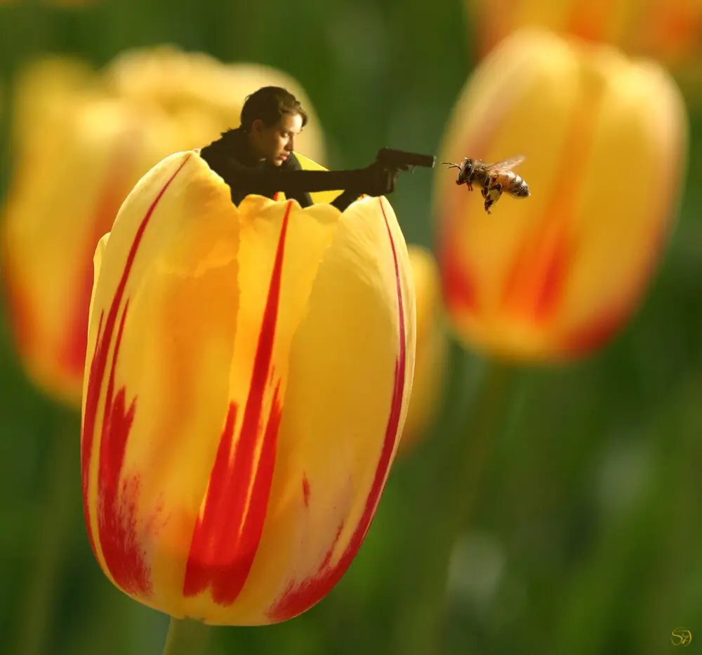 Lady with a gun coming out of a flower as a bee approaches. She points the gun at the bee