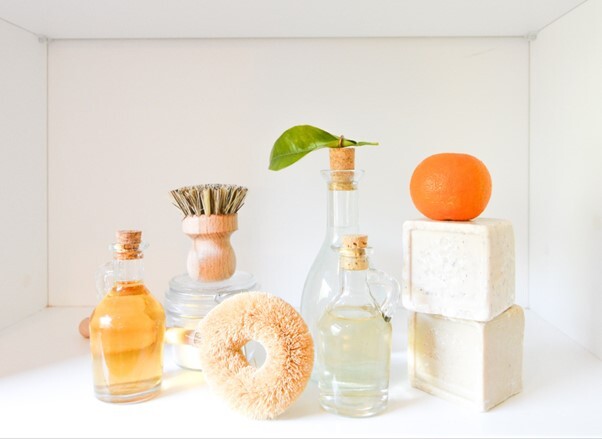 a still life photo of 6 sustainable products