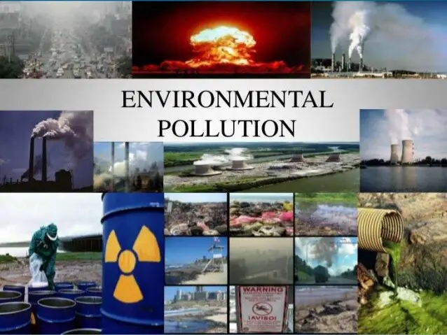 Collage of environmental pollution images